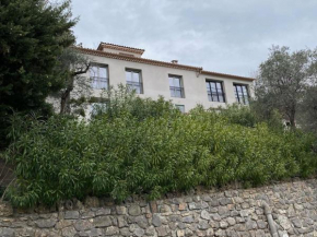 Magnifique vue montagne, village de Mougins et mer